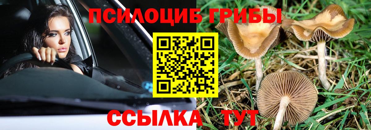 Вязьма  Псилоцибиновые грибы мухоморы  Вход с VPN 
